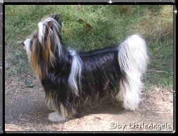 Bastel3