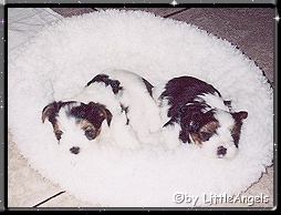 Bastel&Bamba1