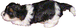 MiniFee3