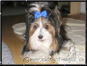 2005-09-14 = Bastel bei Fotosession f�r 1.BYC (12).jpg