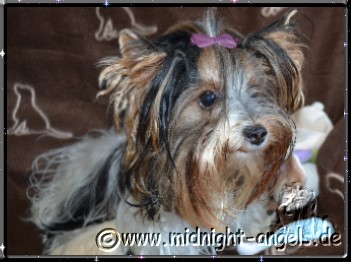 2012-09-04 = Clair.jpg