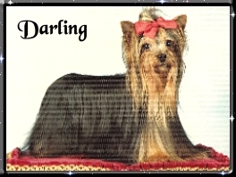 von Friedheck, Darling1