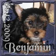 2009-12-06 = Benjamin.jpg