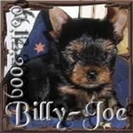 2009-12-06 = Billy-Joe.jpg