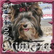 2006-12-06 = MiniFee.jpg