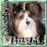 2003-02-02 = Bastel.jpg