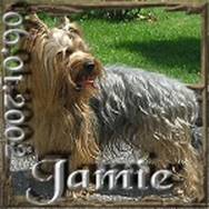 2002-01-06 = Jamie.jpg