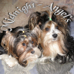Midnight-Angel's5.gif