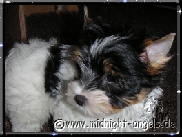 2010-03-26 = Moony (1).jpg