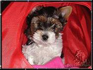 2009-06-19 = Baby2.jpg