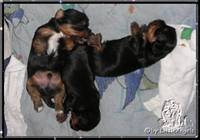 2010-01-01 = B1+B2+B3.jpg