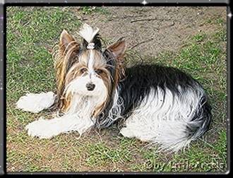 Bastel2