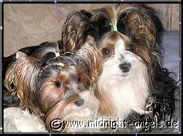 2009-03-26 = MiniFee&Bastel.jpg