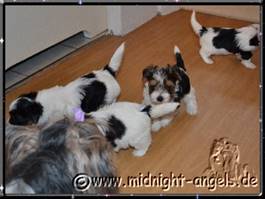 2012-02-23 = Babys+MiniFee (1-1).jpg