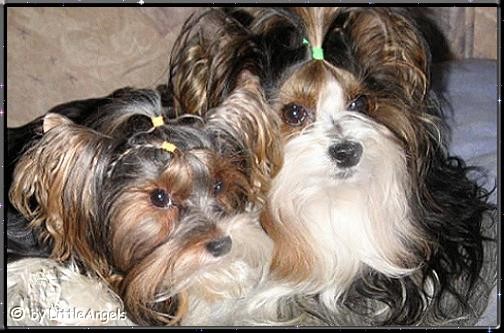 MiniFee&Bastel Index.jpg